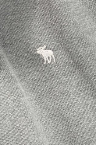 Abercrombie & Fitch Icon Polo